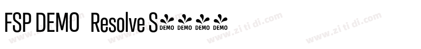 FSP DEMO   Resolve S字体转换